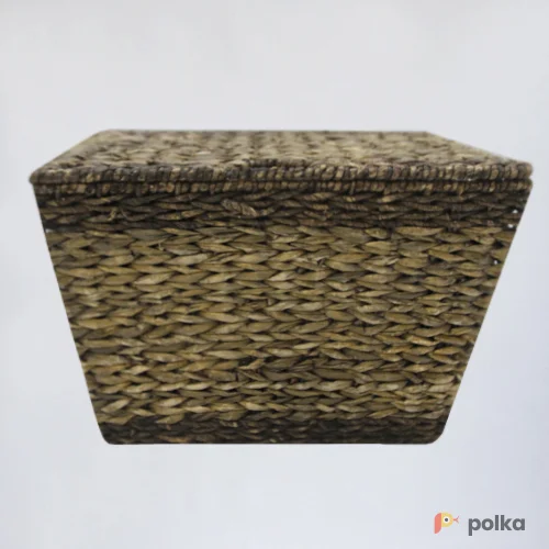 Возьмите Сундук камышовый “Сцирипус” напрокат (Фото 1) в Москве