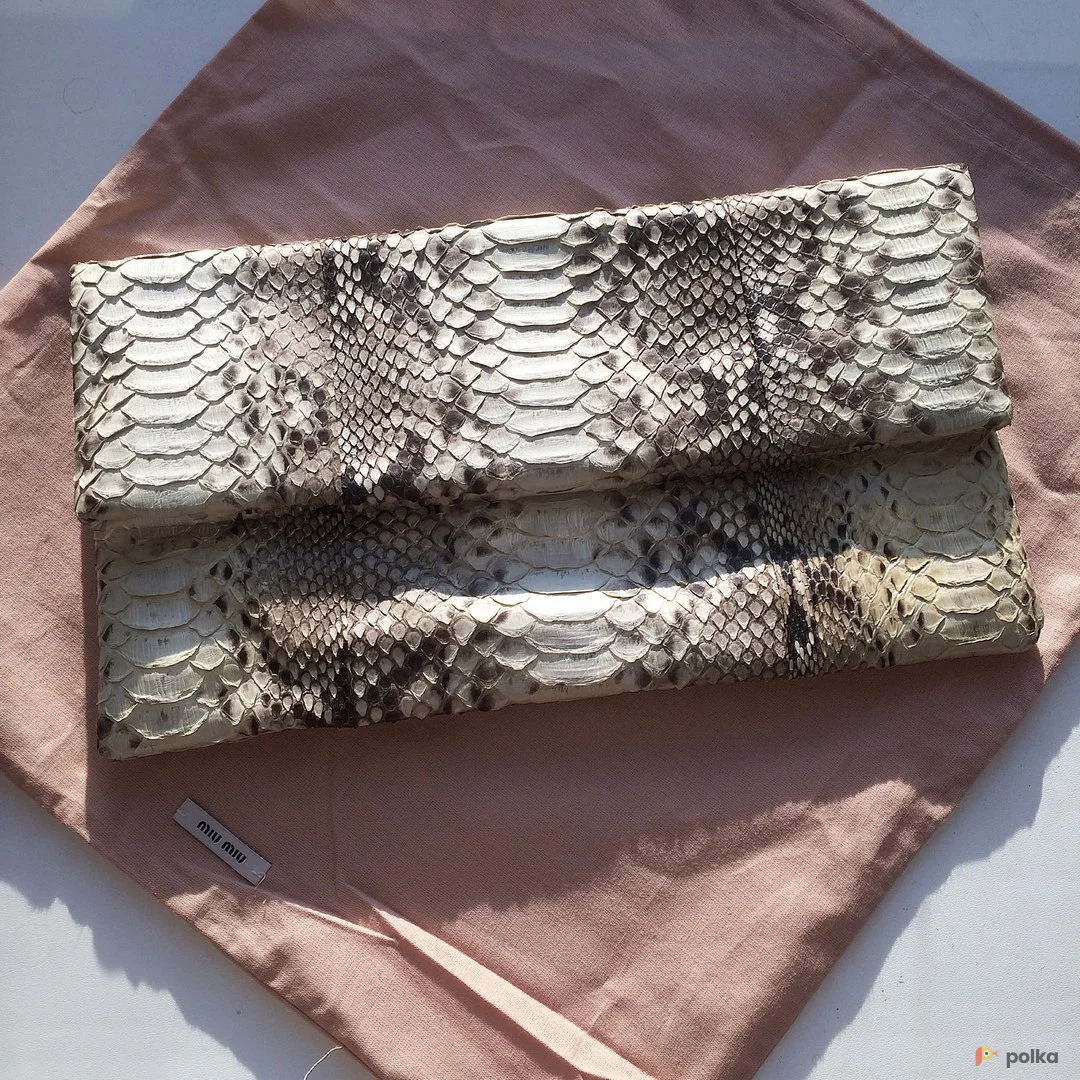 Возьмите Клатч сумка из питона кожаная напрокат (Фото 1) в Москве