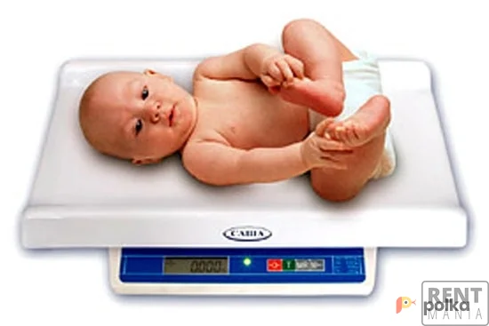 Возьмите Весы электронные «Саша» напрокат (Фото 1) в Москве