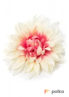 Возьмите Украшение на голову Cara couture Brooch hairpin assortiment напрокат (Фото 1) в Москве