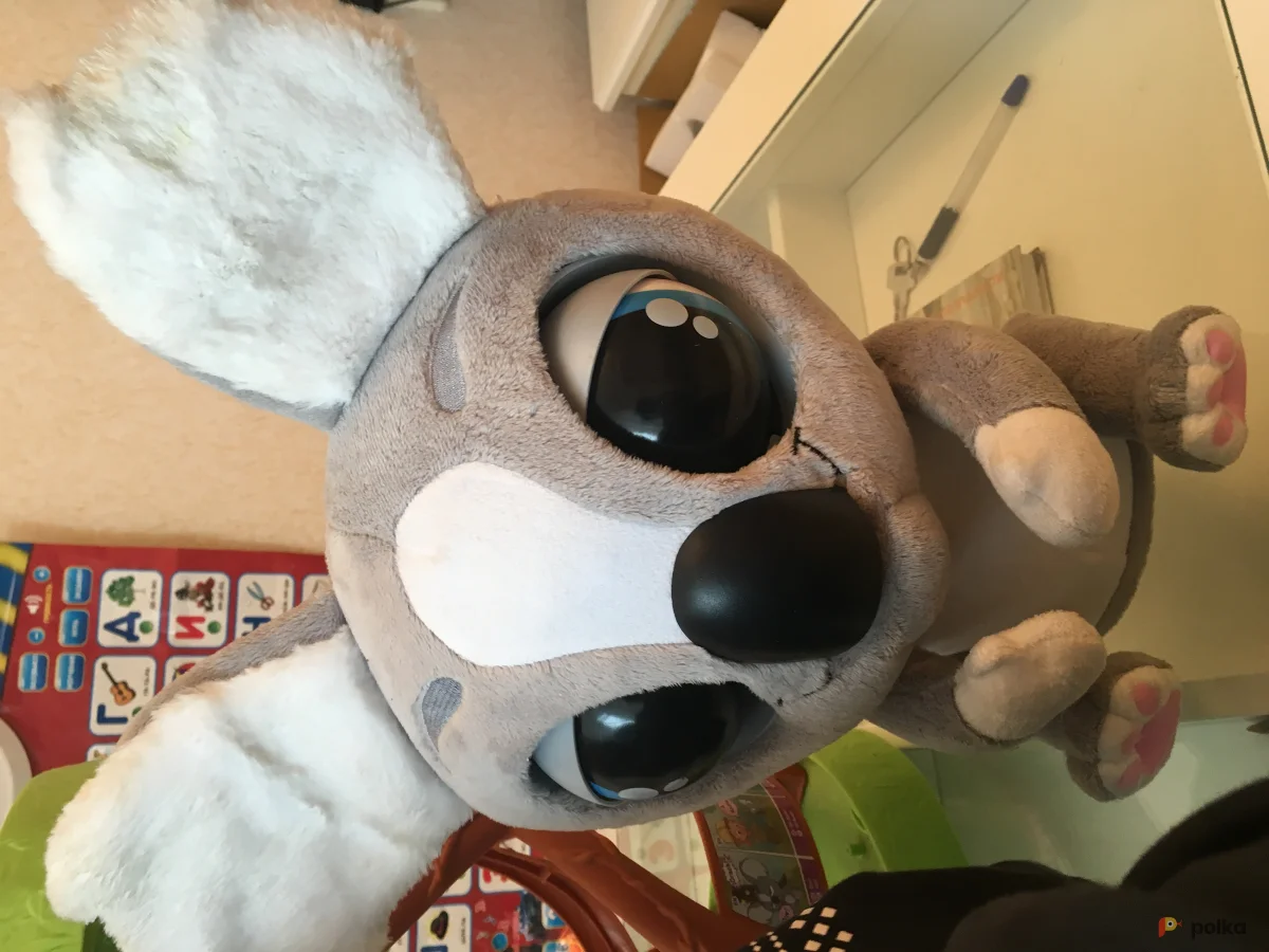 Возьмите Игрушку напрокат (Фото 1) в Москве