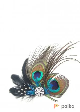 Возьмите Заколка для волос Cara couture Brooch hairpin assortiment напрокат (Фото 1) в Москве