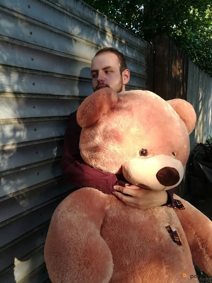 Возьмите Плюшевый медведь  напрокат (Фото 1) в Москве