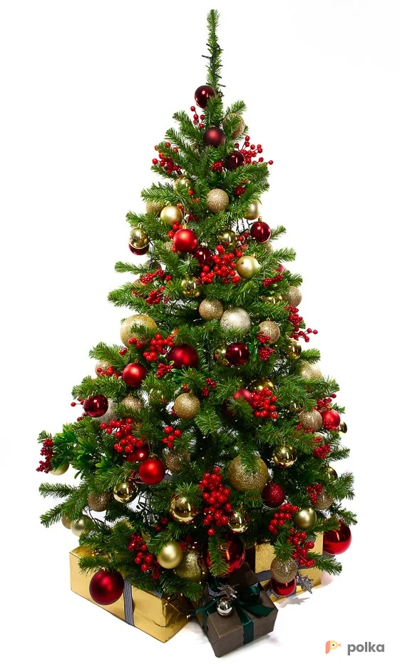 Возьмите Новогодняя ёлка №1 напрокат (Фото 1) в Москве