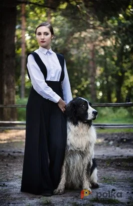 Возьмите Костюм для фотосессии: Юбка-брюки и белая рубашка напрокат (Фото 1) в Москве