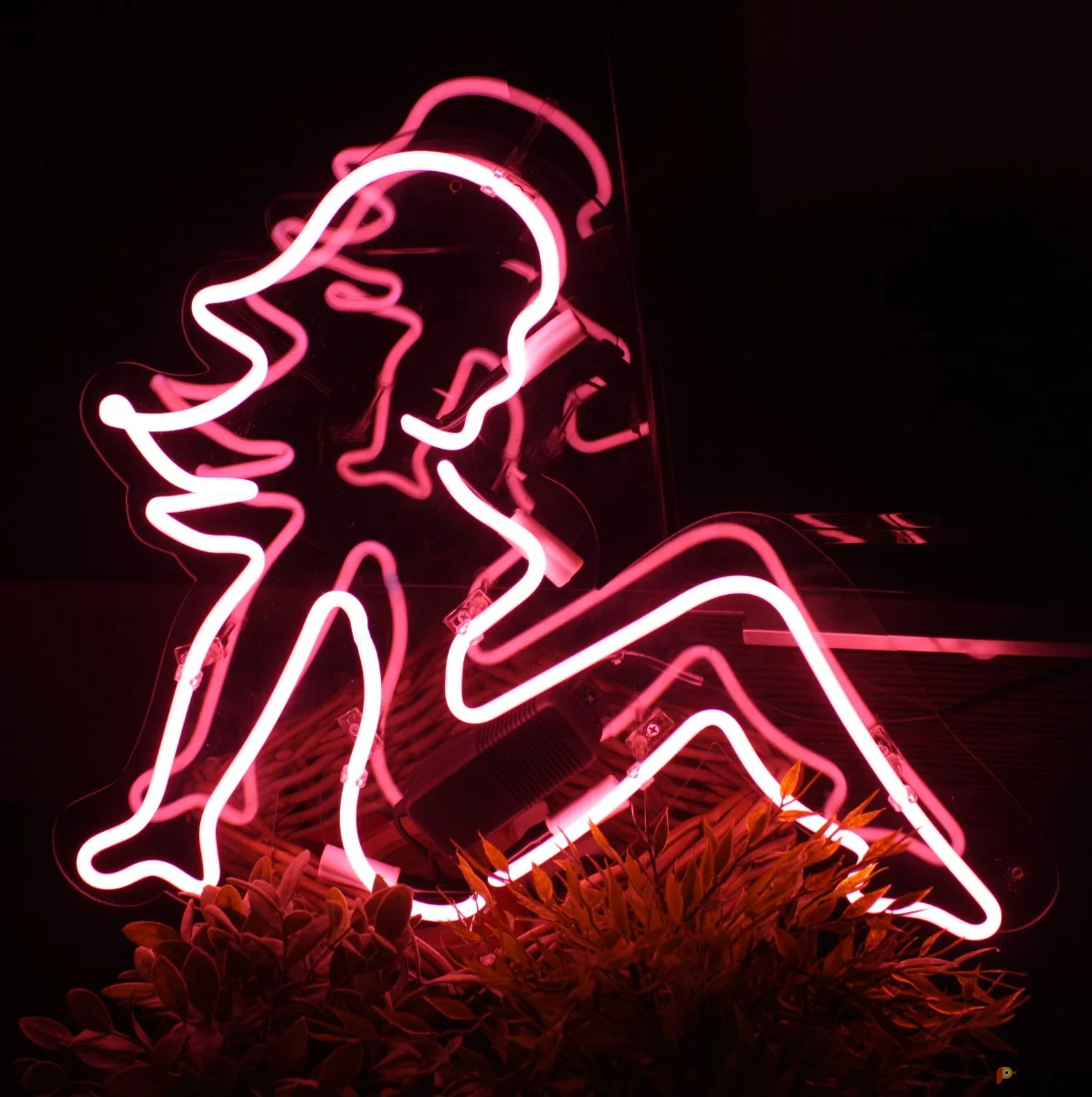 Возьмите Неоновая вывеска напрокат (Фото 1) в Москве