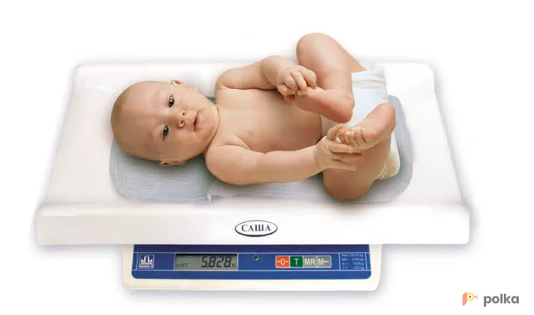 Возьмите Весы Саша напрокат (Фото 1) в Москве