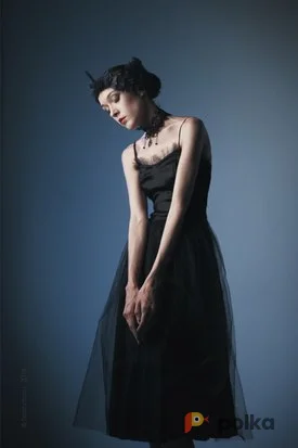 Возьмите Костюм для фотосессии: Платье-шопенка Черный Лебедь. Размеры 40, 42 напрокат (Фото 1) в Москве