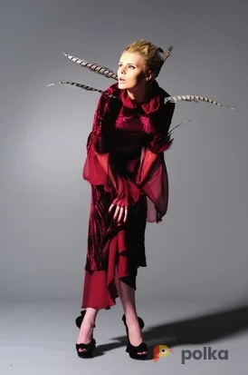 Возьмите Костюм для фотосессии: Платье Готическое ПТИЦА 42-46. Размеры 42-46 напрокат (Фото 1) в Москве