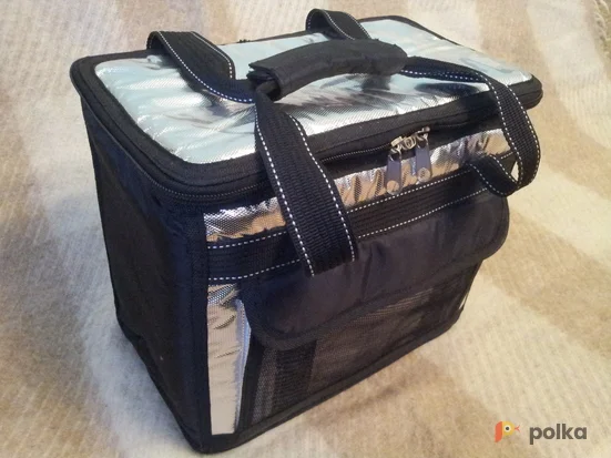 Возьмите Медицинская термосумка Delta-T напрокат (Фото 1) в Москве