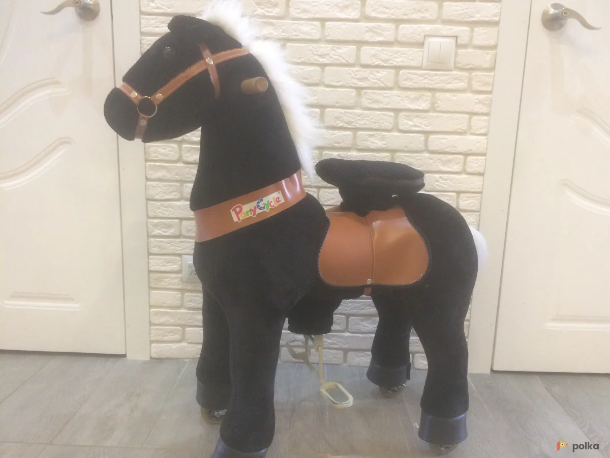 Возьмите Поницикл напрокат (Фото 1) в Москве