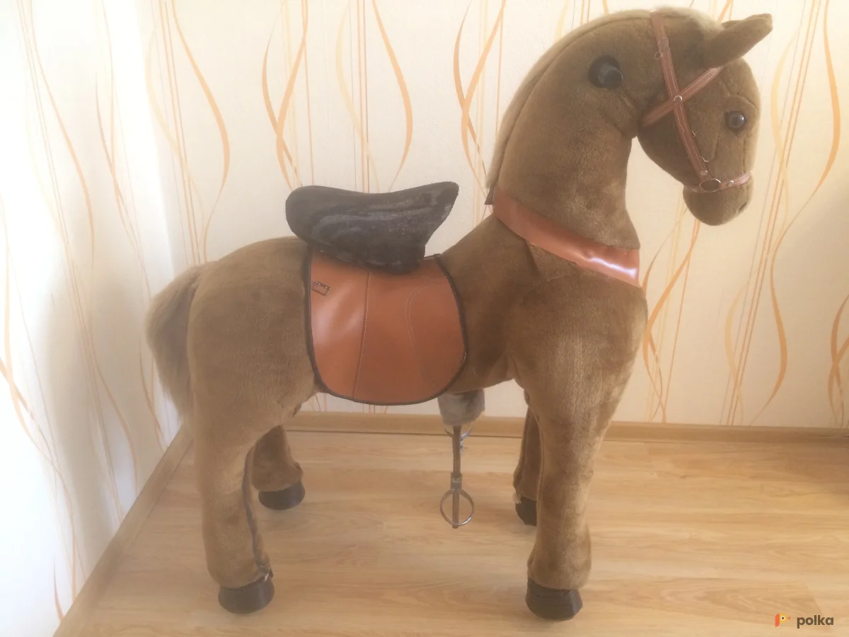 Возьмите Поницикл (большой) напрокат (Фото 1) в Москве