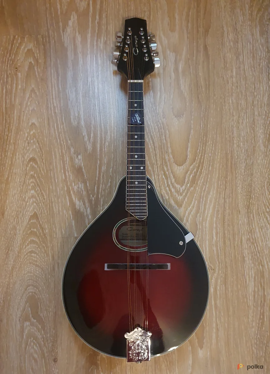 Возьмите Мандолина  напрокат (Фото 1) в Санкт-Петербурге