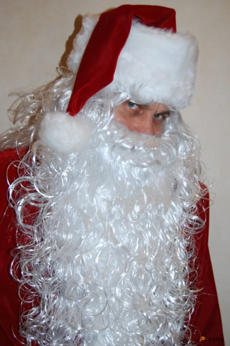 Возьмите БОРОДА + ПАРИК напрокат (Фото 1) в Москве