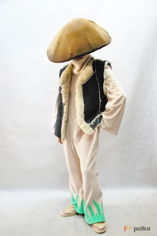 Возьмите КОСТЮМ ГРИБА БОРОВИК  напрокат (Фото 1) в Москве