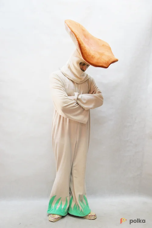 Возьмите КОСТЮМ ГРИБА СЫРОЕЖКА напрокат (Фото 1) в Москве