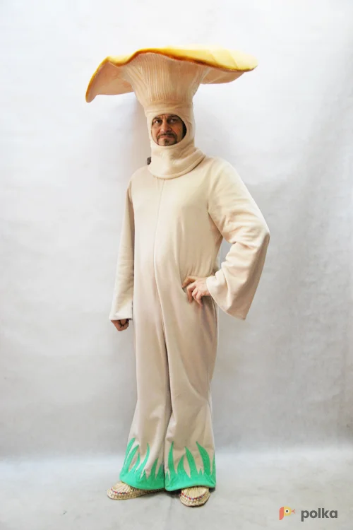 Возьмите КОСТЮМ ГРИБА ЛИСИЧКА  напрокат (Фото 1) в Москве