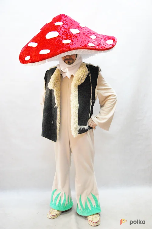 Возьмите КОСТЮМ ГРИБА МУХОМОР  напрокат (Фото 1) в Москве