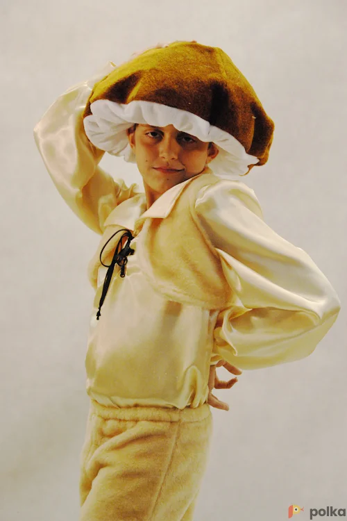 Возьмите КОСТЮМ ГРИБ напрокат (Фото 1) в Москве