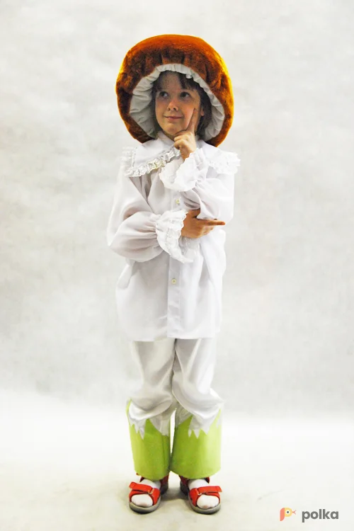 Возьмите КОСТЮМ ГРИБ БОРОВИК напрокат (Фото 1) в Москве