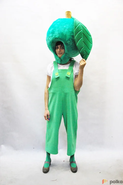 Возьмите КОСТЮМ ЗЕЛЕНОЕ ЯБЛОКО  напрокат (Фото 1) в Москве