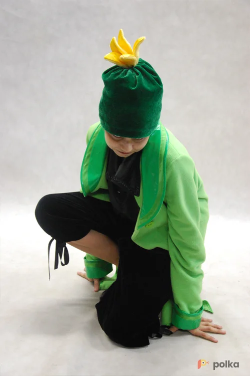 Возьмите Костюм КАБАЧОК  напрокат (Фото 1) в Москве