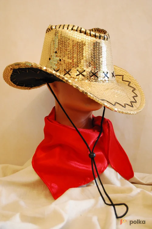 Возьмите КОВБОЙСКАЯ ШЛЯПА С ПАЙЕТКАМИ напрокат (Фото 1) в Москве