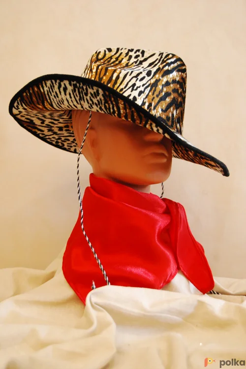 Возьмите  КОВБОЙСКАЯ ШЛЯПА ВЕЛЮР напрокат (Фото 1) в Москве