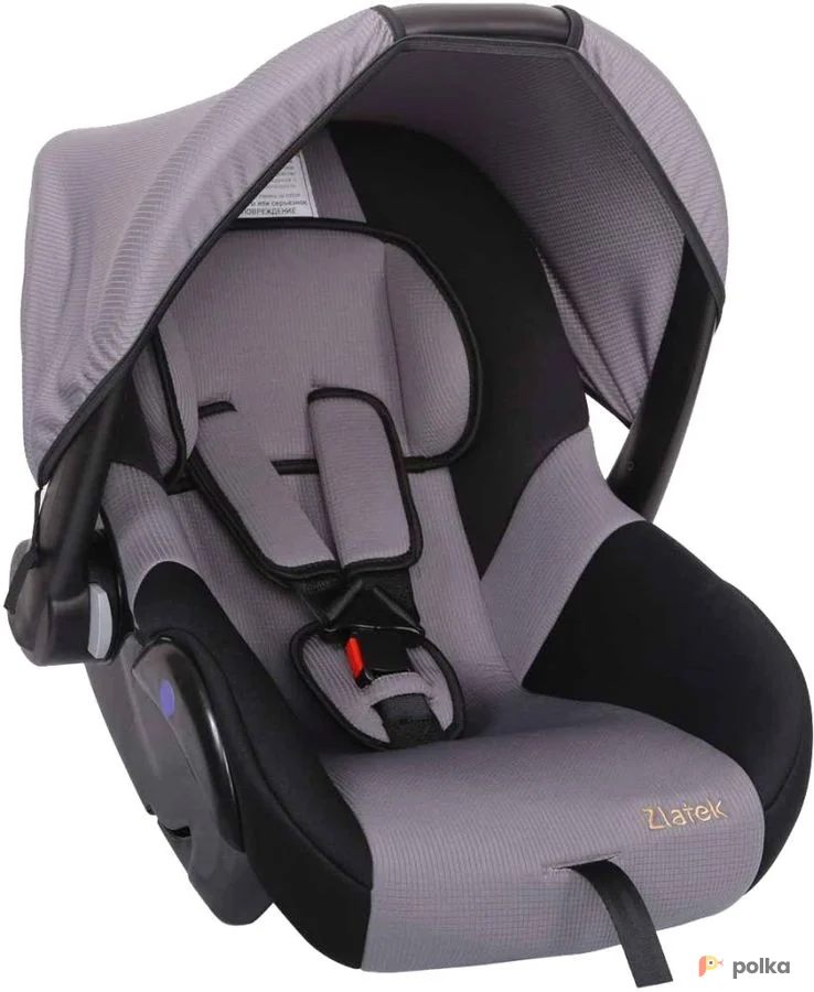 Возьмите Автокресло детское 0-18 мес напрокат (Фото 1) В Новосибирске