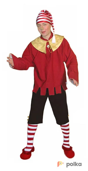 Возьмите Буратино костюм напрокат (Фото 1) в Москве